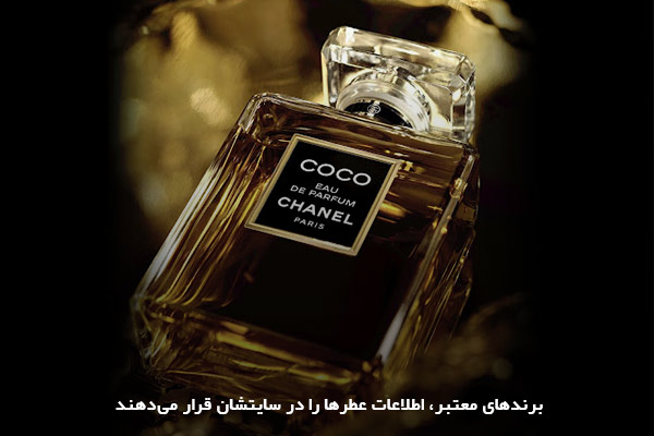ترفند تشخیص عطر اصل از فیک برندهای بزرگ عطرسازی به سوددهی میلیارد دلاری رسیده‌اند اما هنوز هم نمی‌توانند جلوی تولید محصولات تقلبی را بگیرند؛ بنابراین، خریدار باید به نکاتی مختلف توجه کند و تشخیص عطر اصل از فیک را خودش انجام بدهد. اگر به‌دنبال خرید عطر هستید، بودیسه شاپ به شما کمک خواهد کرد تا هیچ هزینه برای محصولات غیر اصل پرداخت نکنید. در مقاله پیش‌رو، ترفندهای مفیدی برای تشخیص عطر اصل از محصولات فیک را بررسی کرده‌ایم.